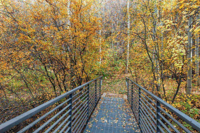 This walkway leads to the ski-in/out intermediate trail to Aspen Mountain.  Access the mountain for hiking in the summer and fall this way!
