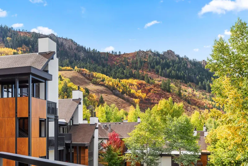 Enjoy the fall colors from the comfort of your living room!