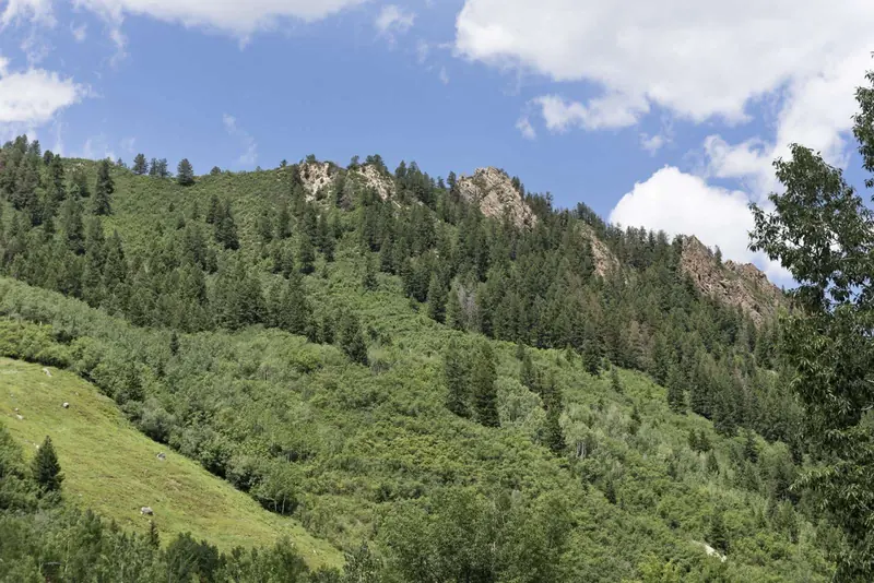 The amazing view from the living room will prompt you to get out and enjoy the day!